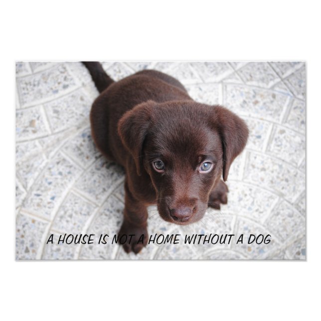 Puppy Quote Photo Print (Front)