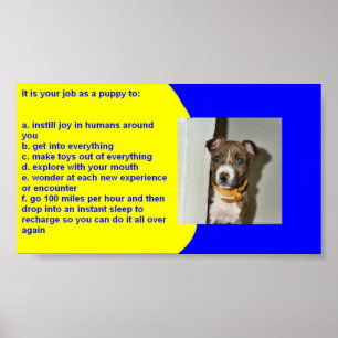 PUPPY RULES POSTER