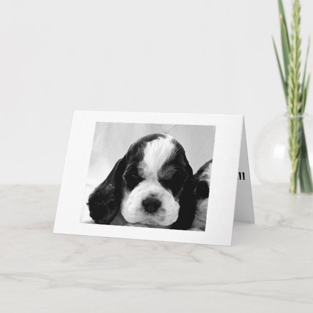 PUPPY SAYS "SAY IT ISN'T SO "OVER THE HILL?" CARD (Front)