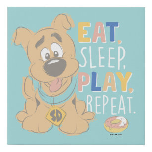 Puppy Scooby-Doo "Eat, Sleep, Play, Repeat" Faux Canvas Print