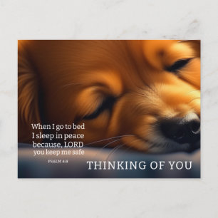 Puppy Scripture Thinking Of You Postcard