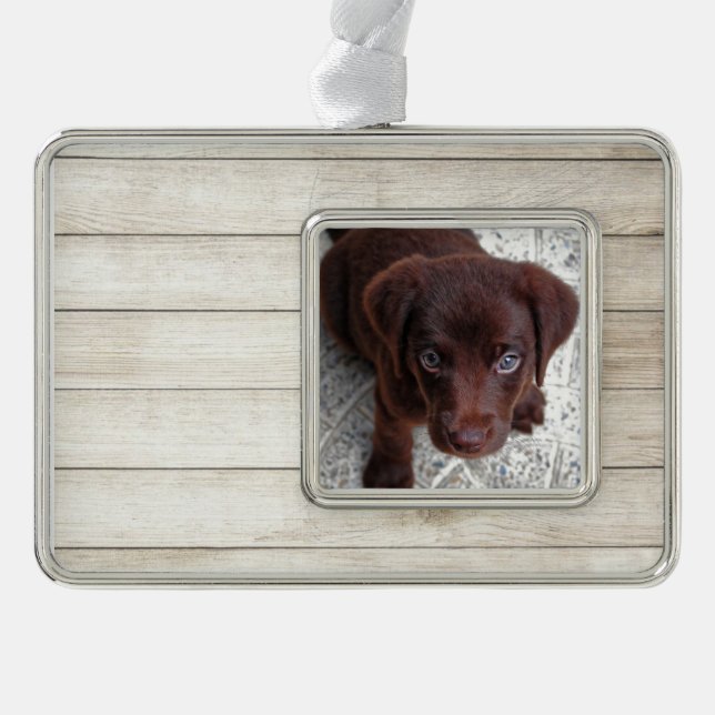 Puppy Silver Plated Framed Ornament (Front)
