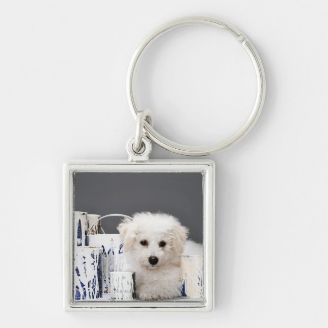 Puppy sitting amongst paint tins key ring (Front)
