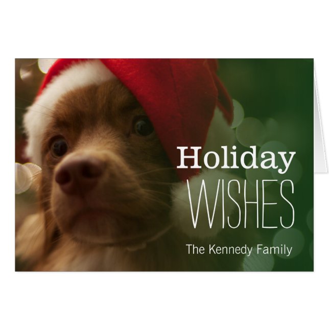 puppy sitting in front of christmas tree bokeh (Front Horizontal)