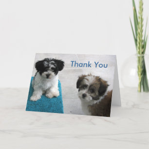 Puppy Sitting Thank You Card