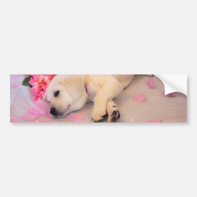 Puppy Sleep Flower 01 Bumper Sticker (Front)