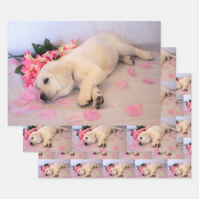 Puppy Sleep Flower 01 Wrapping Paper Sheet (Set)