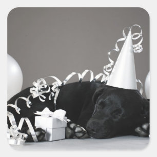 Puppy sleeping in party decorations square sticker