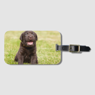 Puppy soft dog luggage tag