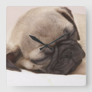 Puppy Soundly Sleeping Square Wall Clock