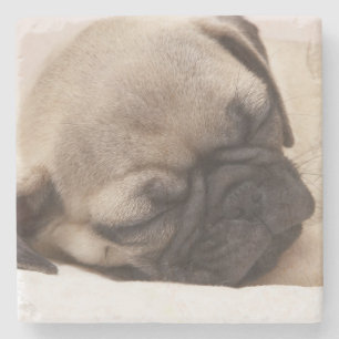 Puppy Soundly Sleeping Stone Coaster