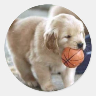 Puppy Stickers