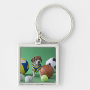 Puppy surrounded by sport balls key ring
