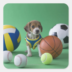 Puppy surrounded by sport balls square sticker