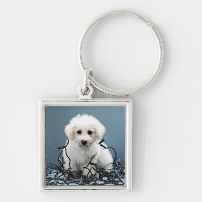 Puppy tangled in Christmas lights Key Ring (Front)