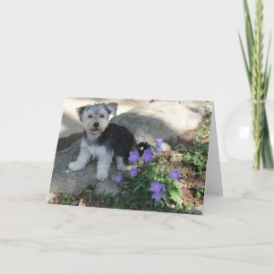 Puppy Thank You Card
