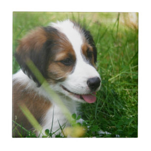 Puppy Tile