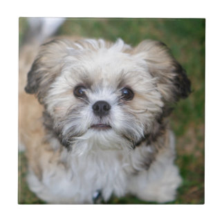 Puppy Tile