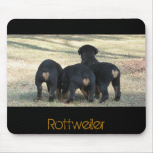 Puppy times three mouse mat