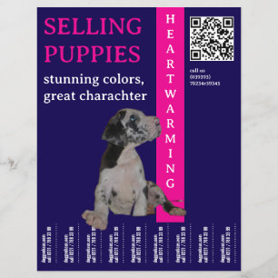 Puppy to sell  flyer