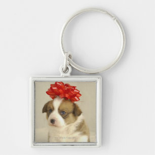 Puppy wearing a red bow key ring