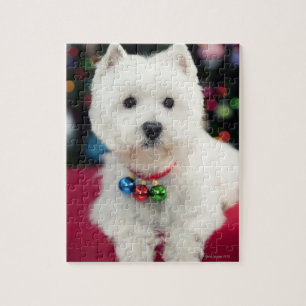Puppy wearing Christmas bell on neck Jigsaw Puzzle