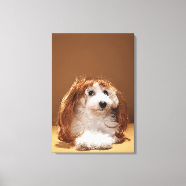 Puppy wearing ginger wig canvas print (Front)