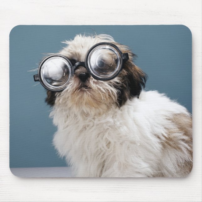 Puppy wearing thick glasses mouse mat (Front)
