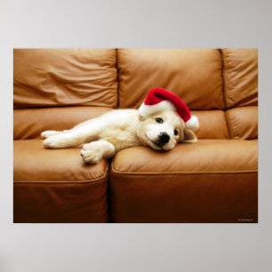 Puppy wears a christmas hat and lying on sofa poster