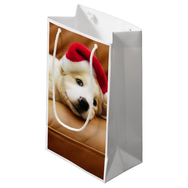 Puppy wears a christmas hat and lying on sofa small gift bag (Front Angled)