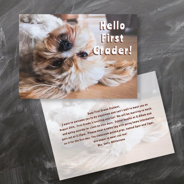 Puppy Welcome Back to School Message Cards (Creator Uploaded)