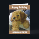 PUPPY WISHES FOR **GRANDDAUGHTER** BIRTHDAY CARD<br><div class="desc">THANK YOU SO MUCH FOR STOPPING BY ONE OF MY EIGHT STORES!!!</div>