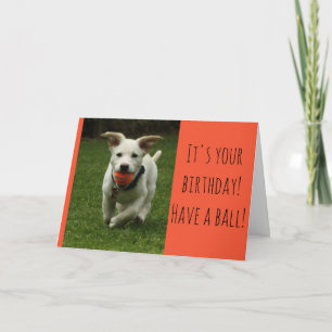 Puppy with Ball Card
