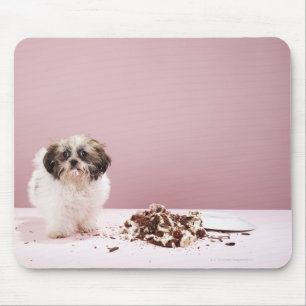 Puppy with cake on floor mouse mat