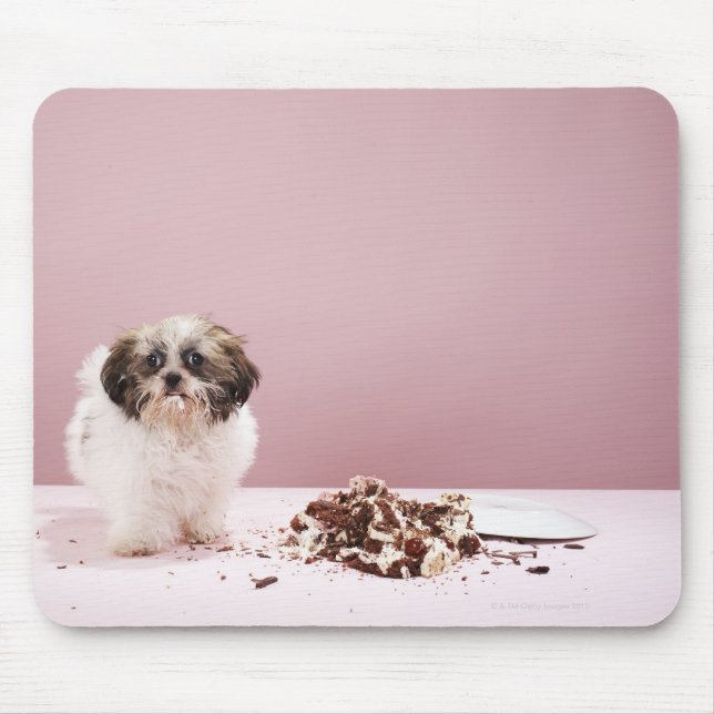 Puppy with cake on floor mouse mat (Front)