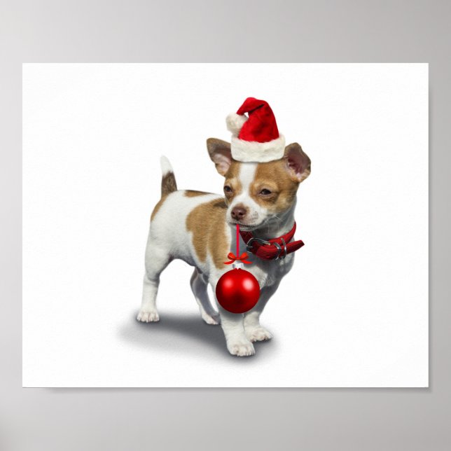 Puppy with christmas hat and Ball Poster (Front)