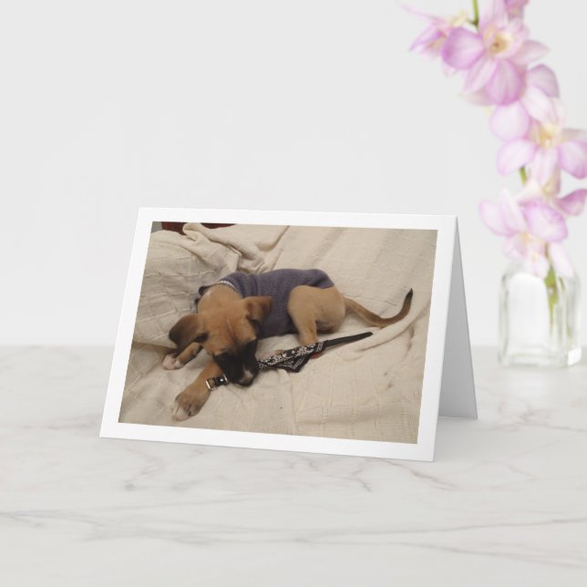 Puppy with Dog Collar Card (Orchid)