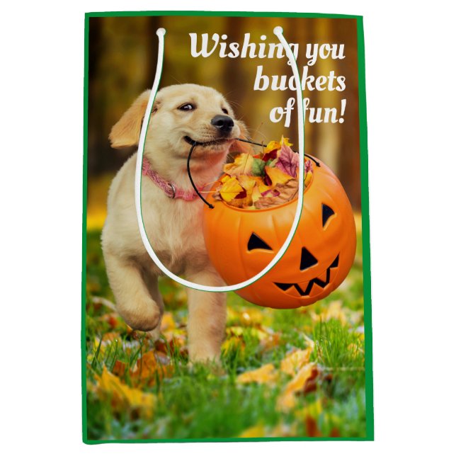 Puppy With Pumpkin Bucket Medium Gift Bag (Front)