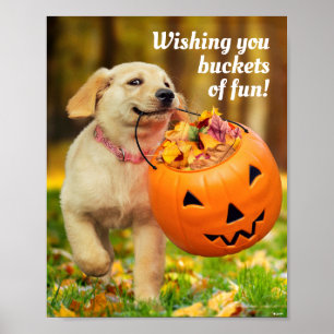 Puppy With Pumpkin Bucket Poster