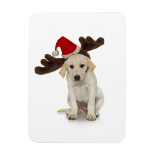 Puppy with Santa Hat and Reindeer Ears Magnet