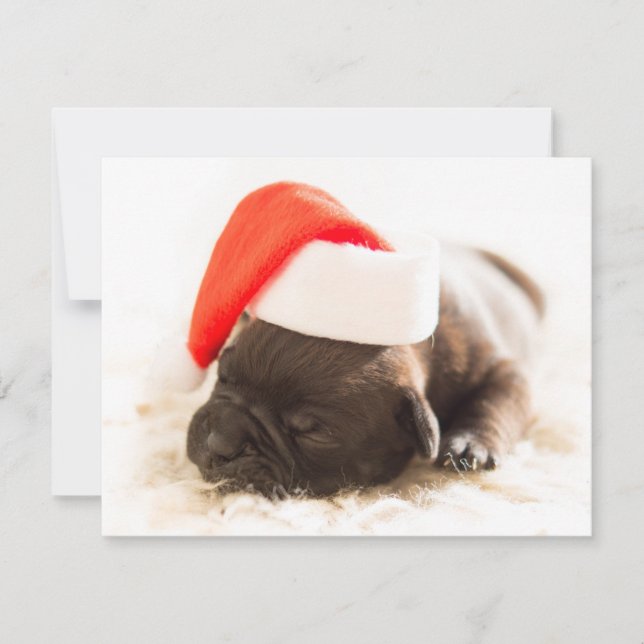 Puppy with santa hat | Christmas Holiday Card (Front)