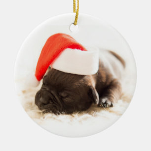 Puppy With Santa Hat On White Background Ceramic Tree Decoration