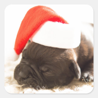 PUPPY WITH Santa hat STICKER