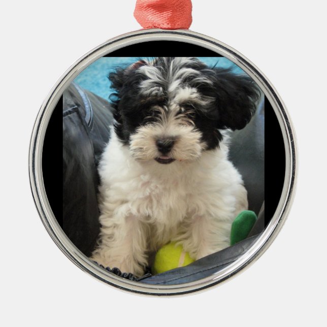 Puppy with Tennis Ball  Rescue Metal Tree Decoration (Front)