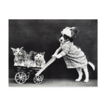 Puppy with Three Kittens in a Carriage
