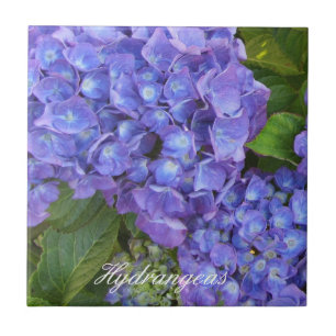 Puprle Hydrangeas Tile