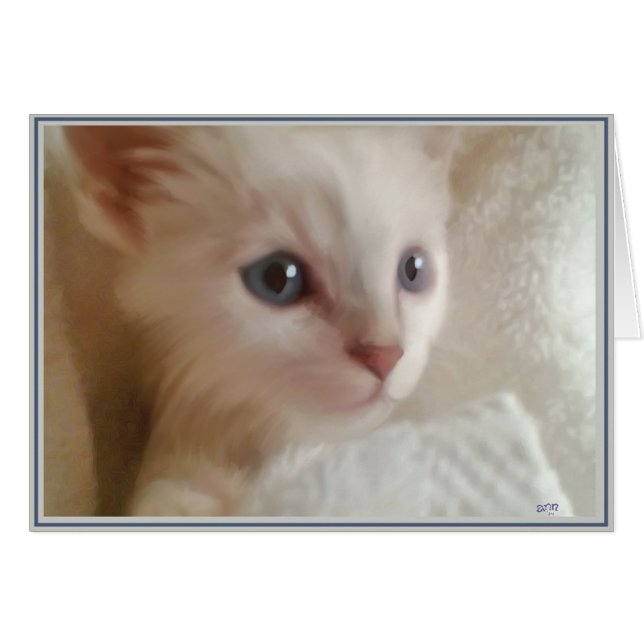 PUPs Card Kitties 11 (Front Horizontal)