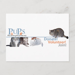 PUPs Logo Merchandise with Cats Postcard