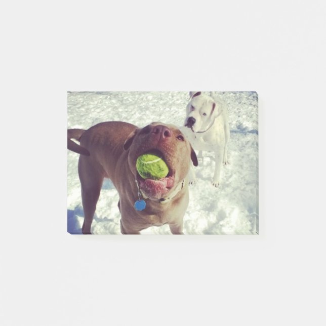 Pups playing Ball Note Pad (Front)