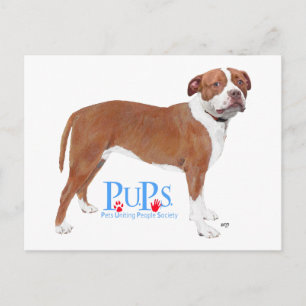 PUPs Rescued Pit Bull Postcard